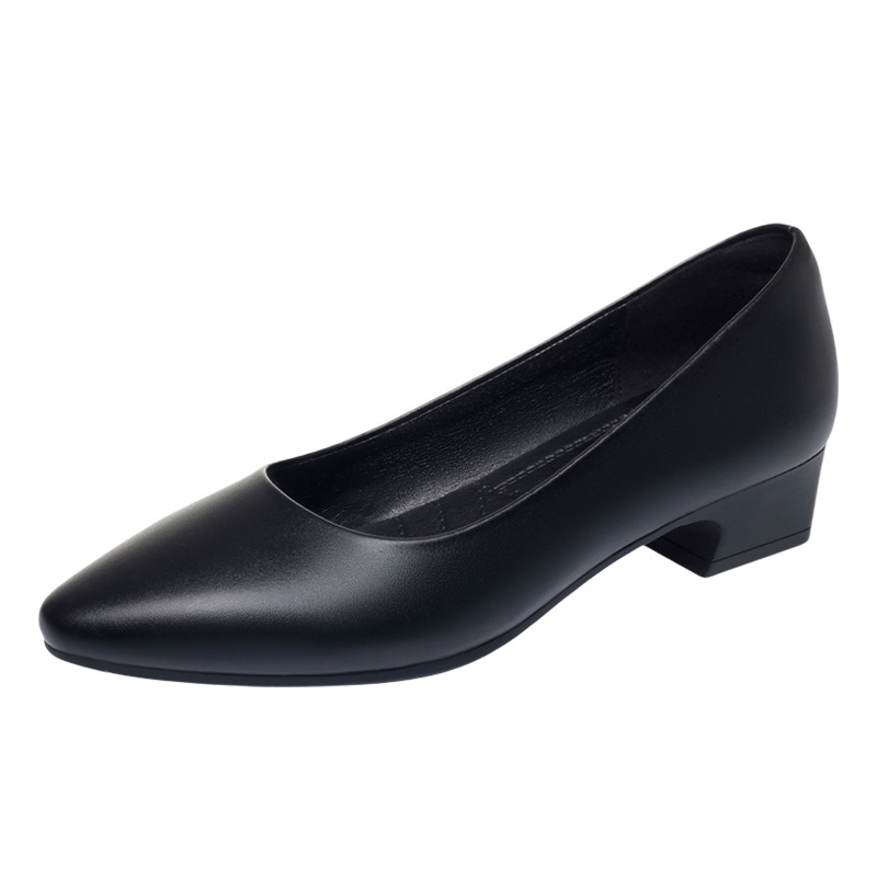 All Match Elegant Women's Soft - đánh giá và giá Court Heel Pointed